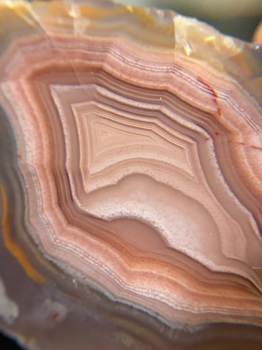 Pink and Blue Laguna Agate