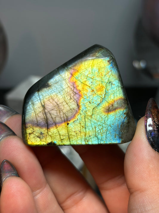 Labradorite Freeform w/ Funky Rainbow Flash from Madagascar