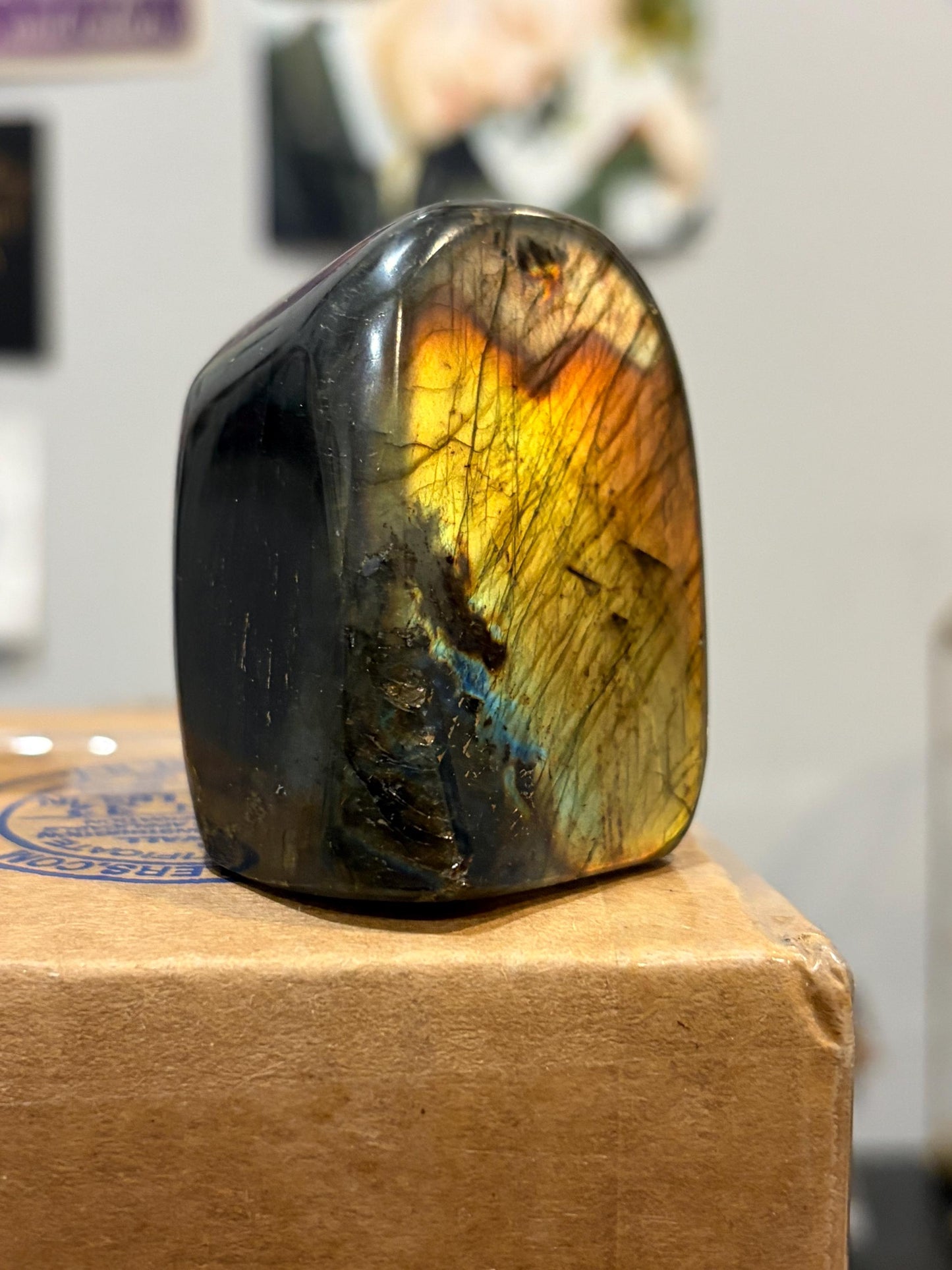 Labradorite Freeform w/ Rainbow Flash
