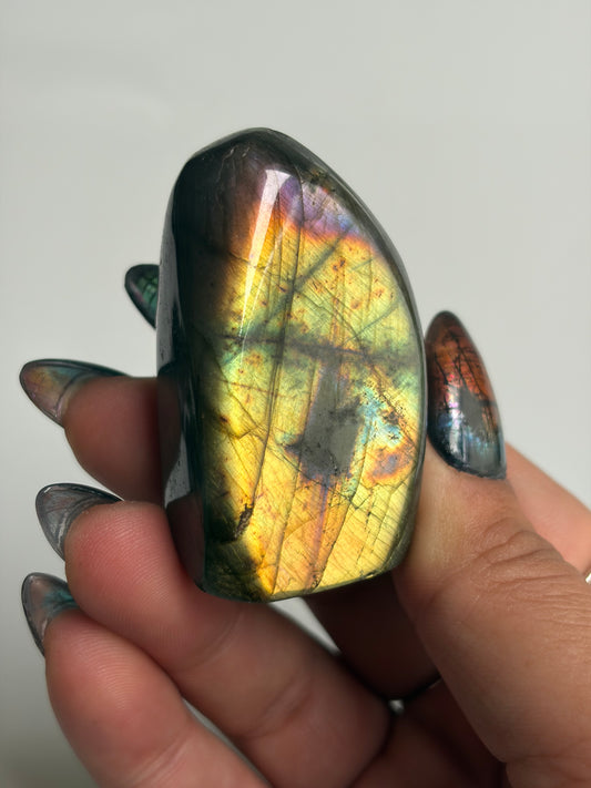 Labradorite Freeform w/ Rainbow and Yellow Flash from Madagascar