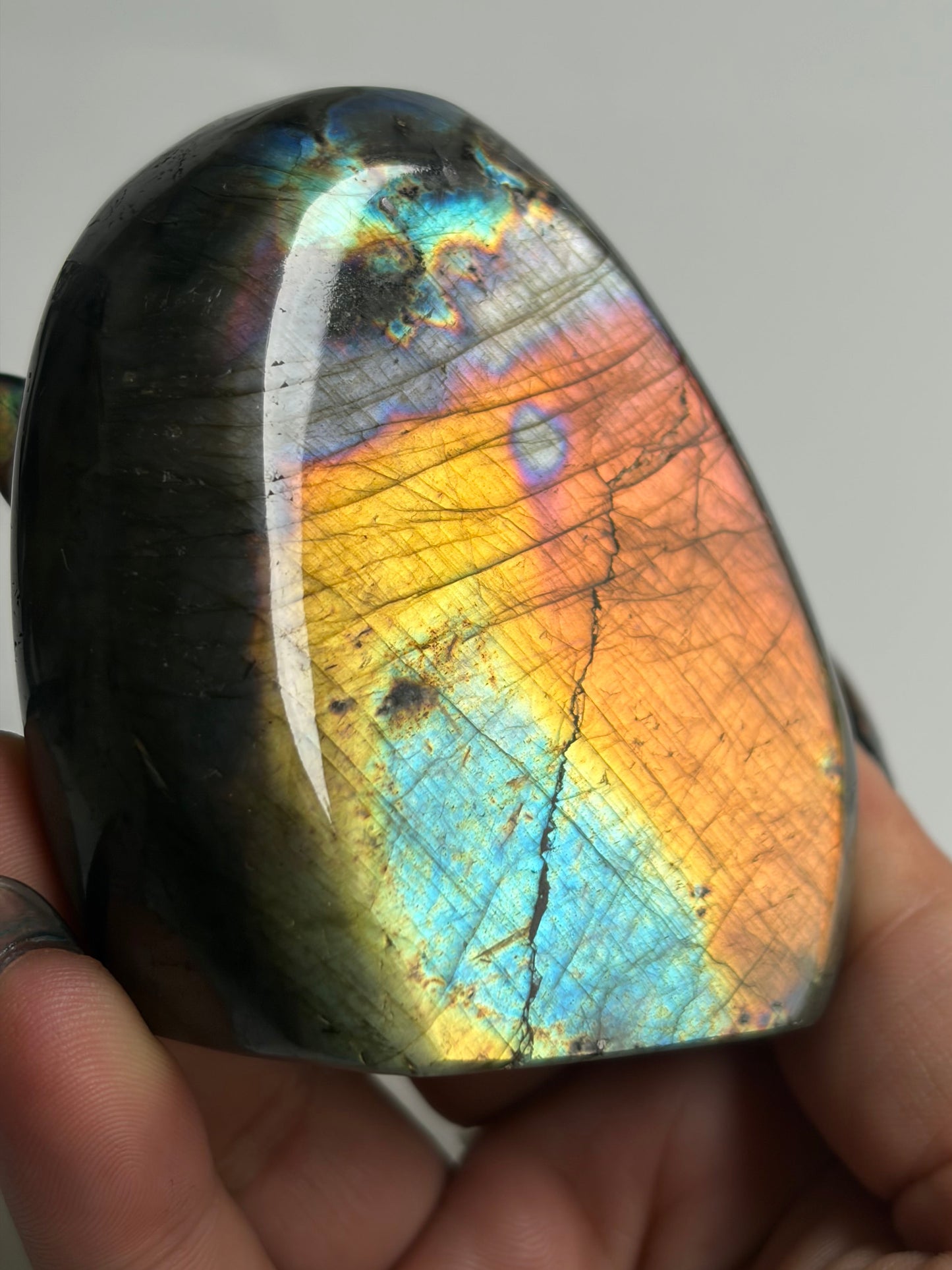 Labradorite Freeform w/ Rainbow Flash from Madagascar
