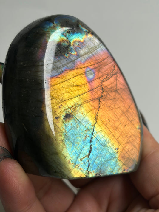 Labradorite Freeform w/ Rainbow Flash from Madagascar