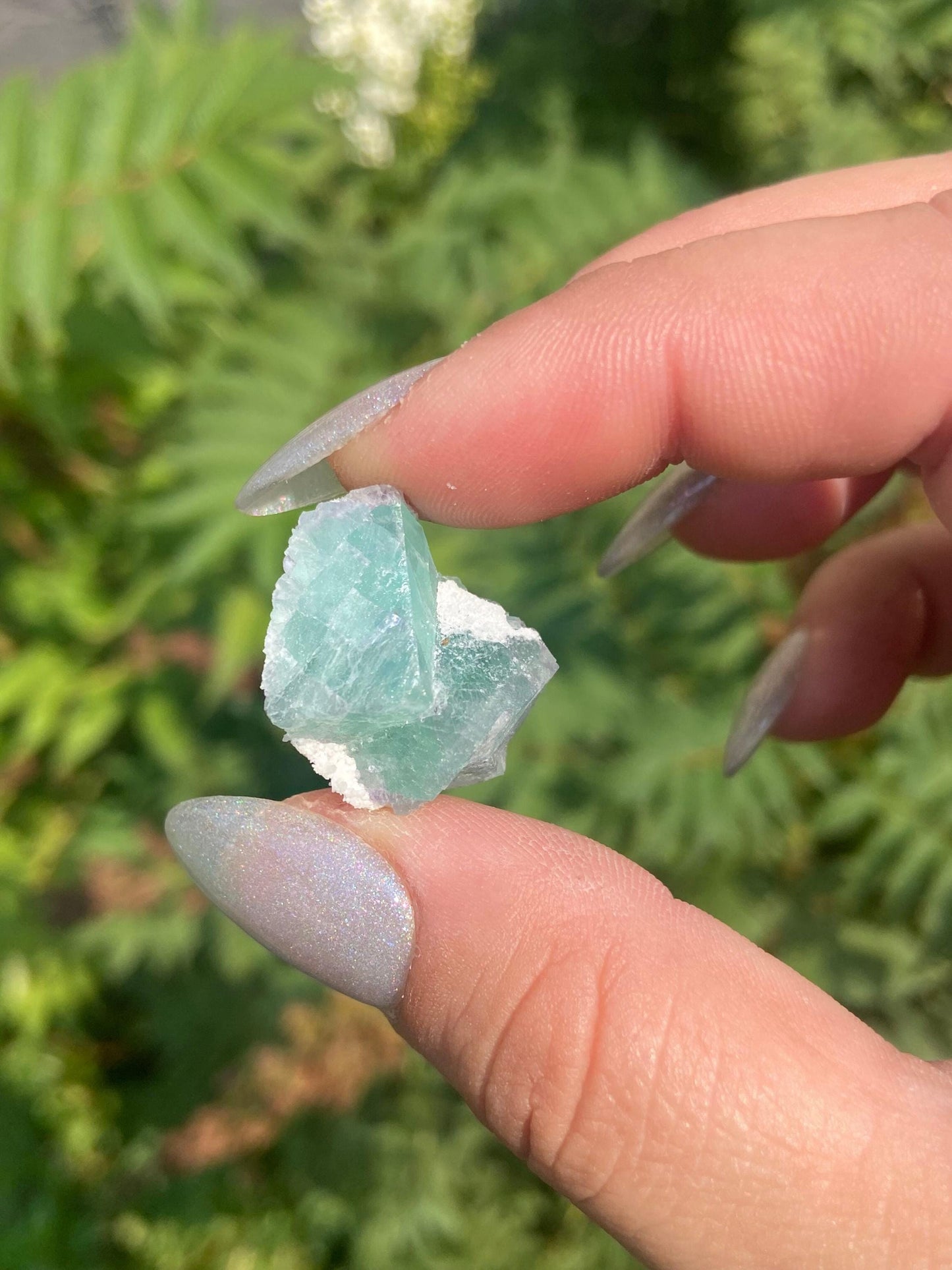 Thumbnail Fluorite Specimen