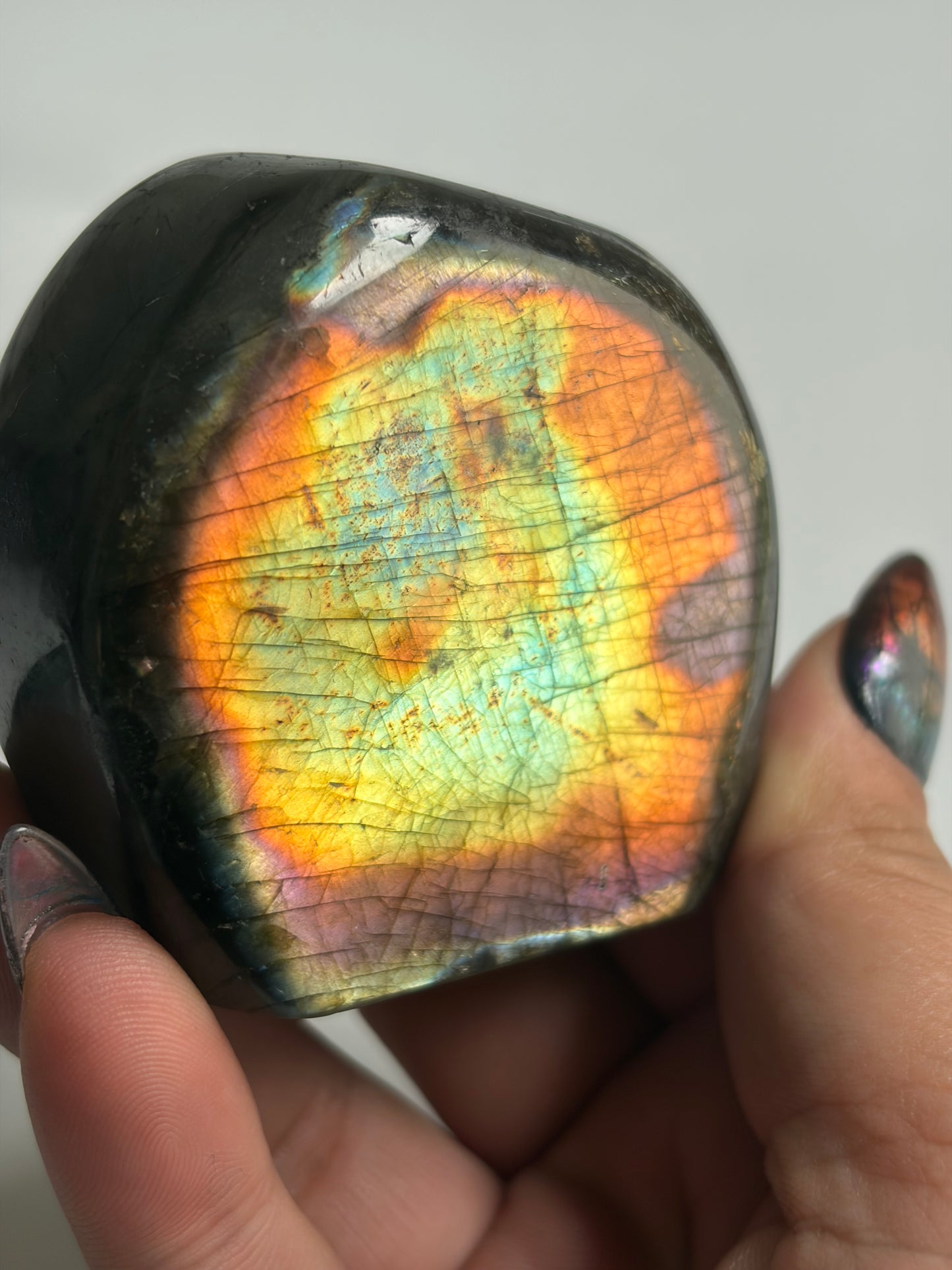Labradorite Freeform w/ Funky Rainbow Flash from Madagascar