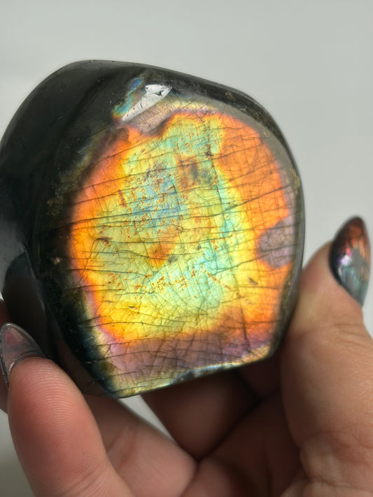 Labradorite Freeform w/ Funky Rainbow Flash from Madagascar