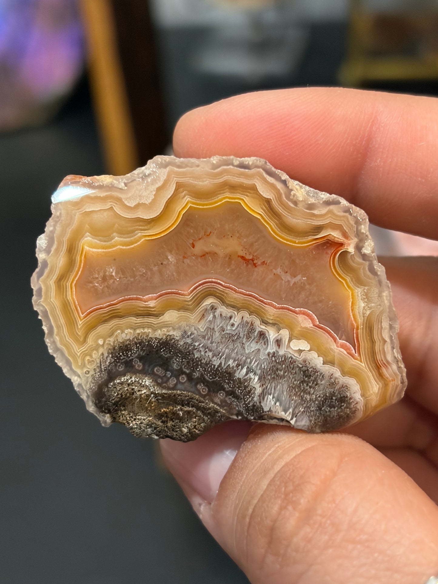 Yellow and Red Laguna Agate