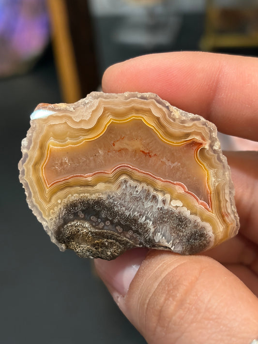 Yellow and Red Laguna Agate