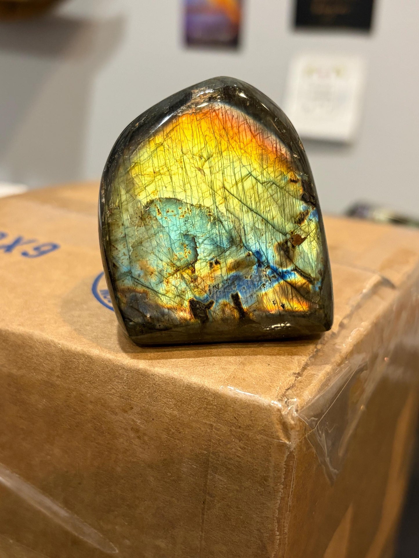Labradorite Freeform w/ Rainbow Dual Flash