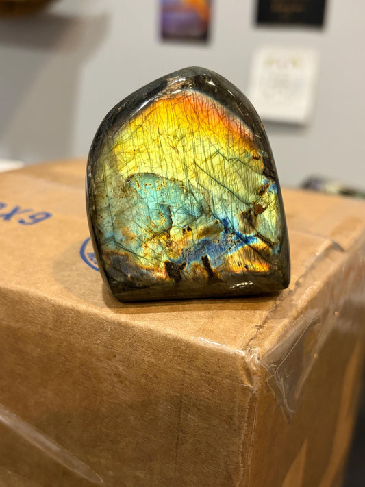 Labradorite Freeform w/ Rainbow Dual Flash