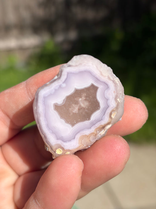 Arielle order 5/23