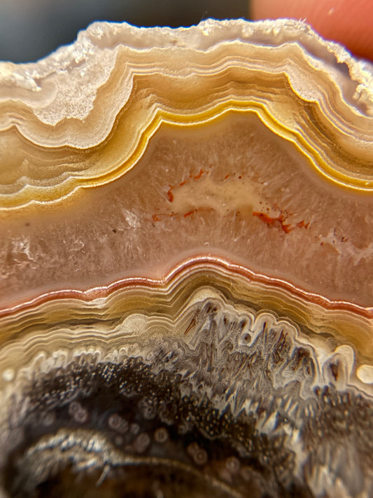 Yellow and Red Laguna Agate