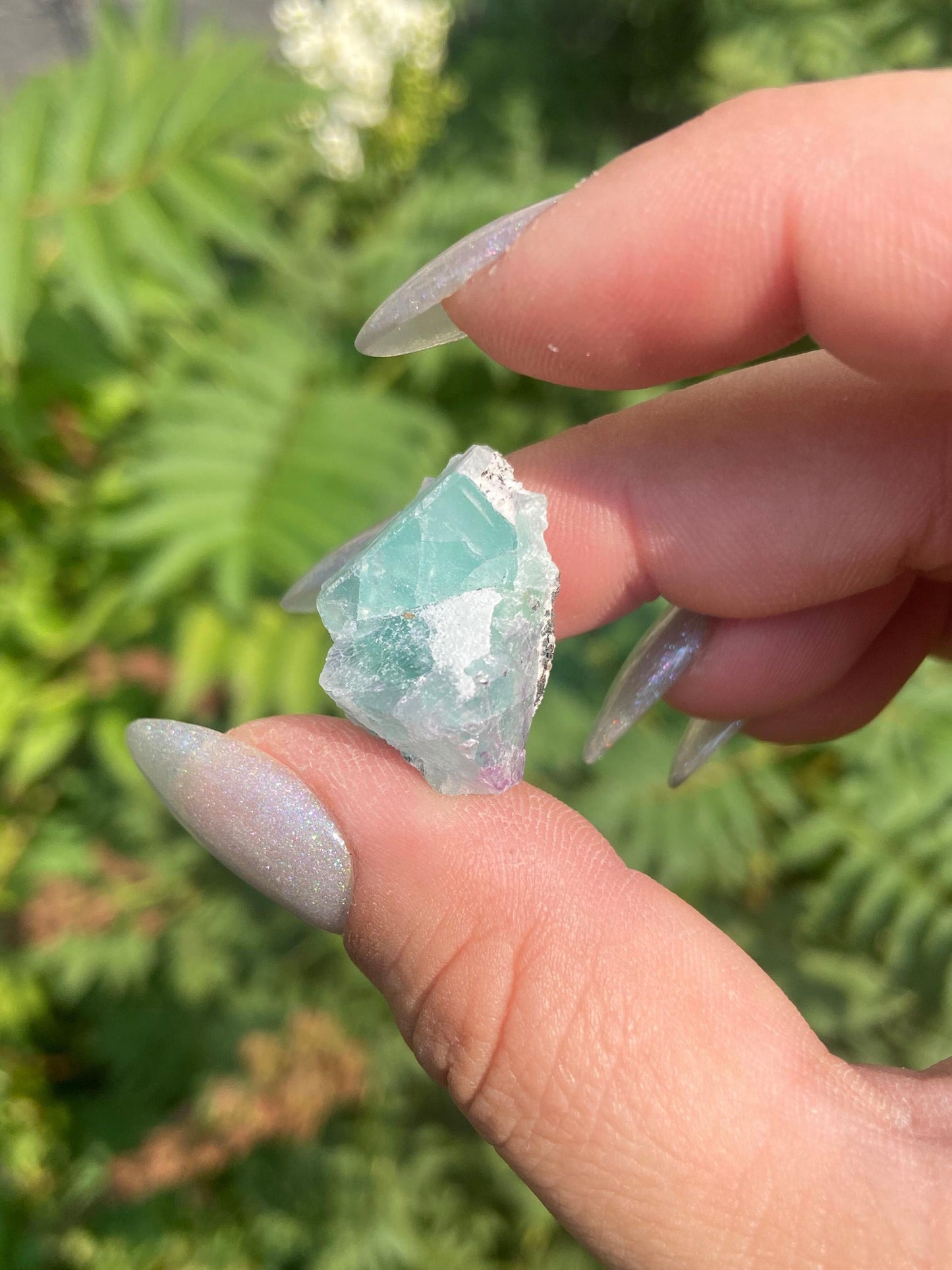 Thumbnail Fluorite Specimen