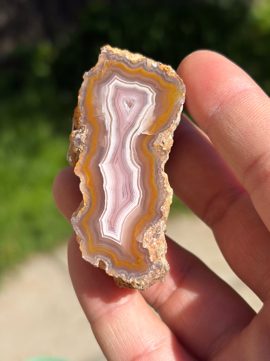Pink and Yellow Laguna Agate