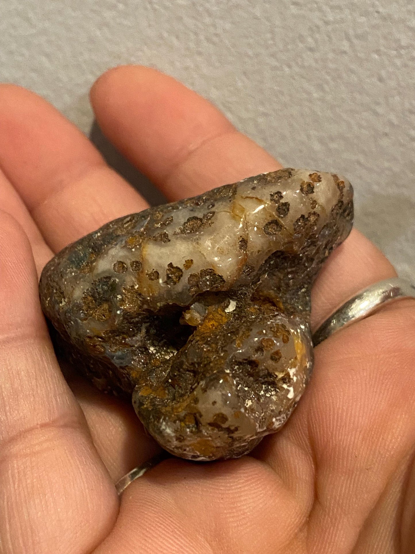 Golden Laguna Agate