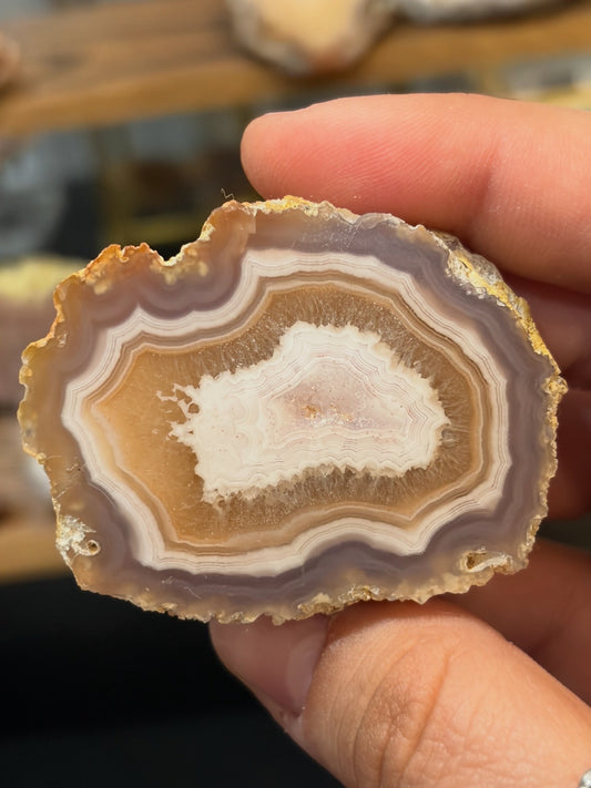 Druzy Laguna Agate