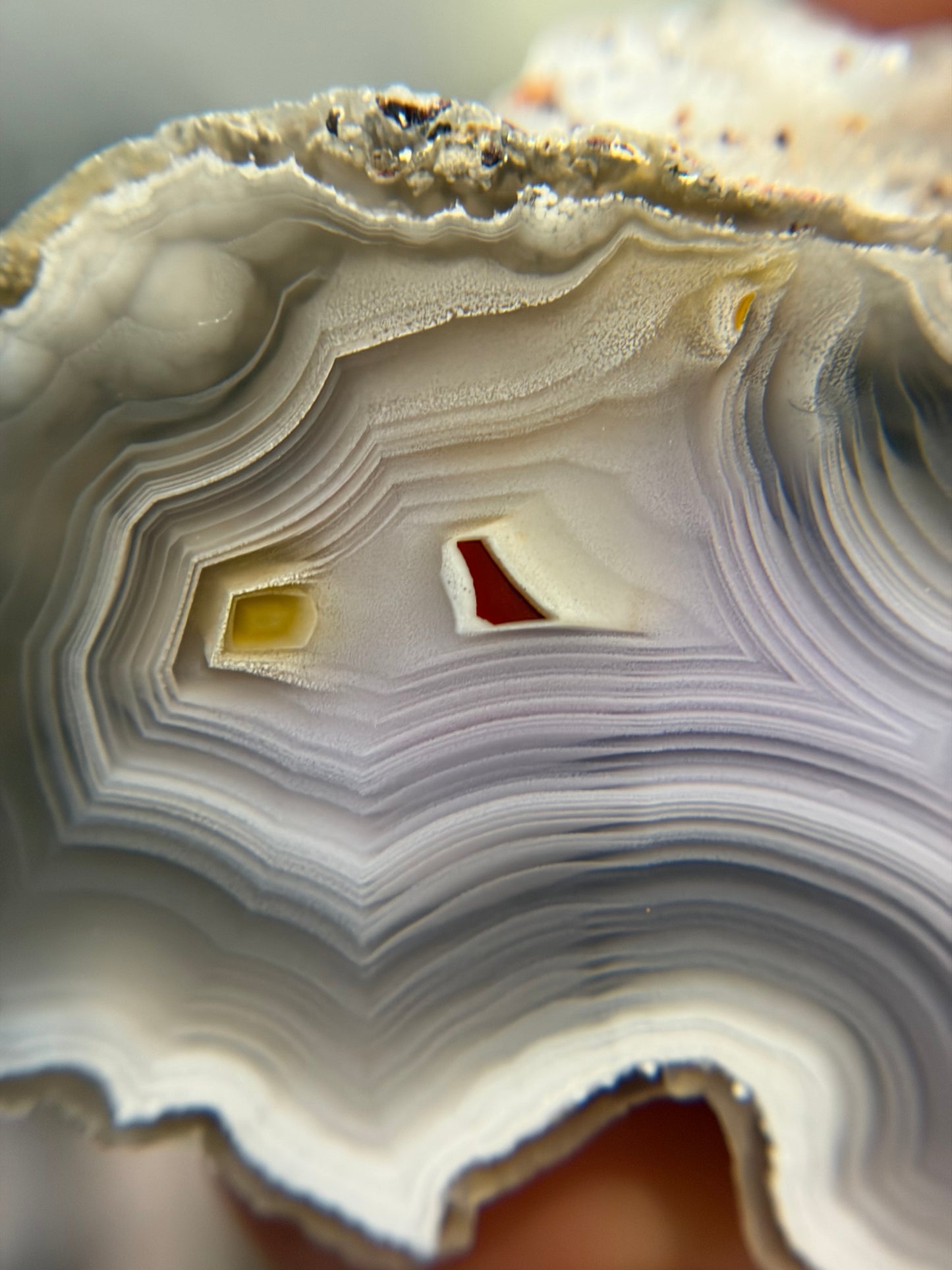 “Butterfly Wing” Laguna Agate