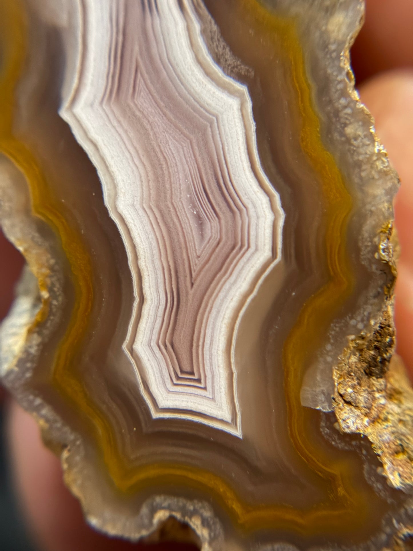 Pink and Yellow Laguna Agate