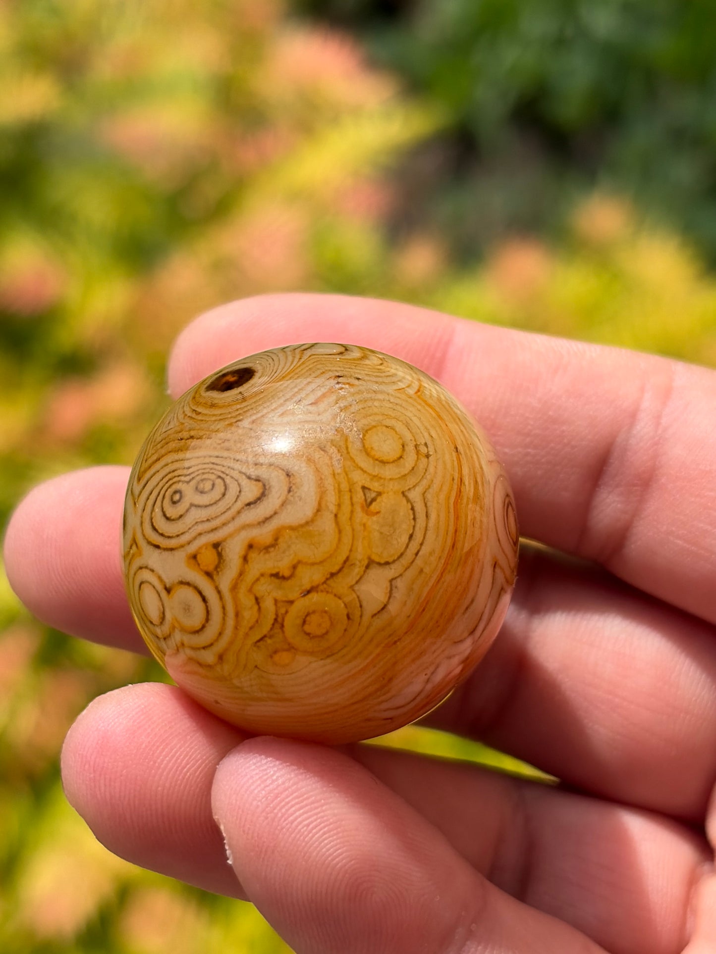Sardonyx Sphere B