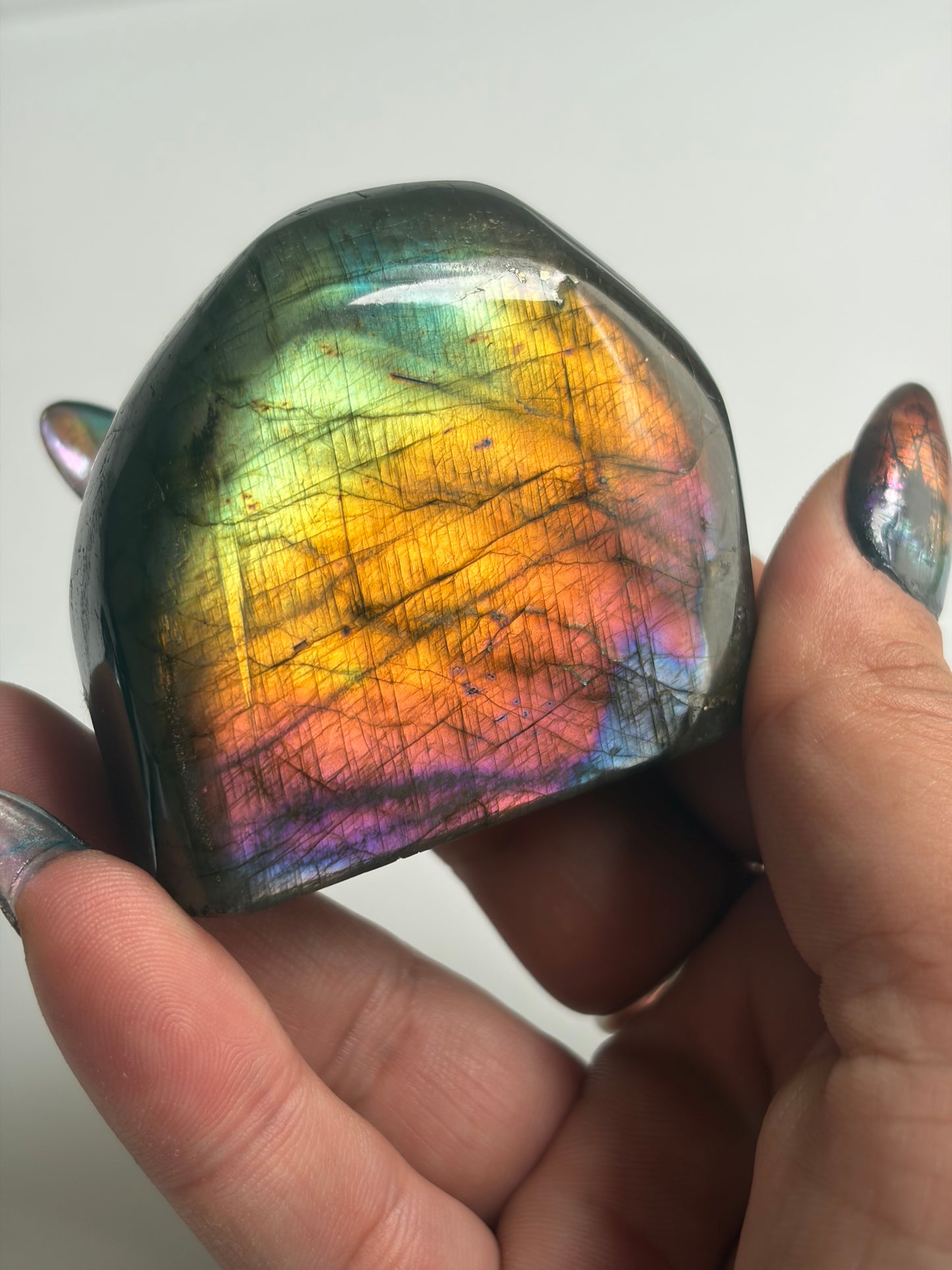 Labradorite Freeform w/ Rainbow Flash from Madagascar