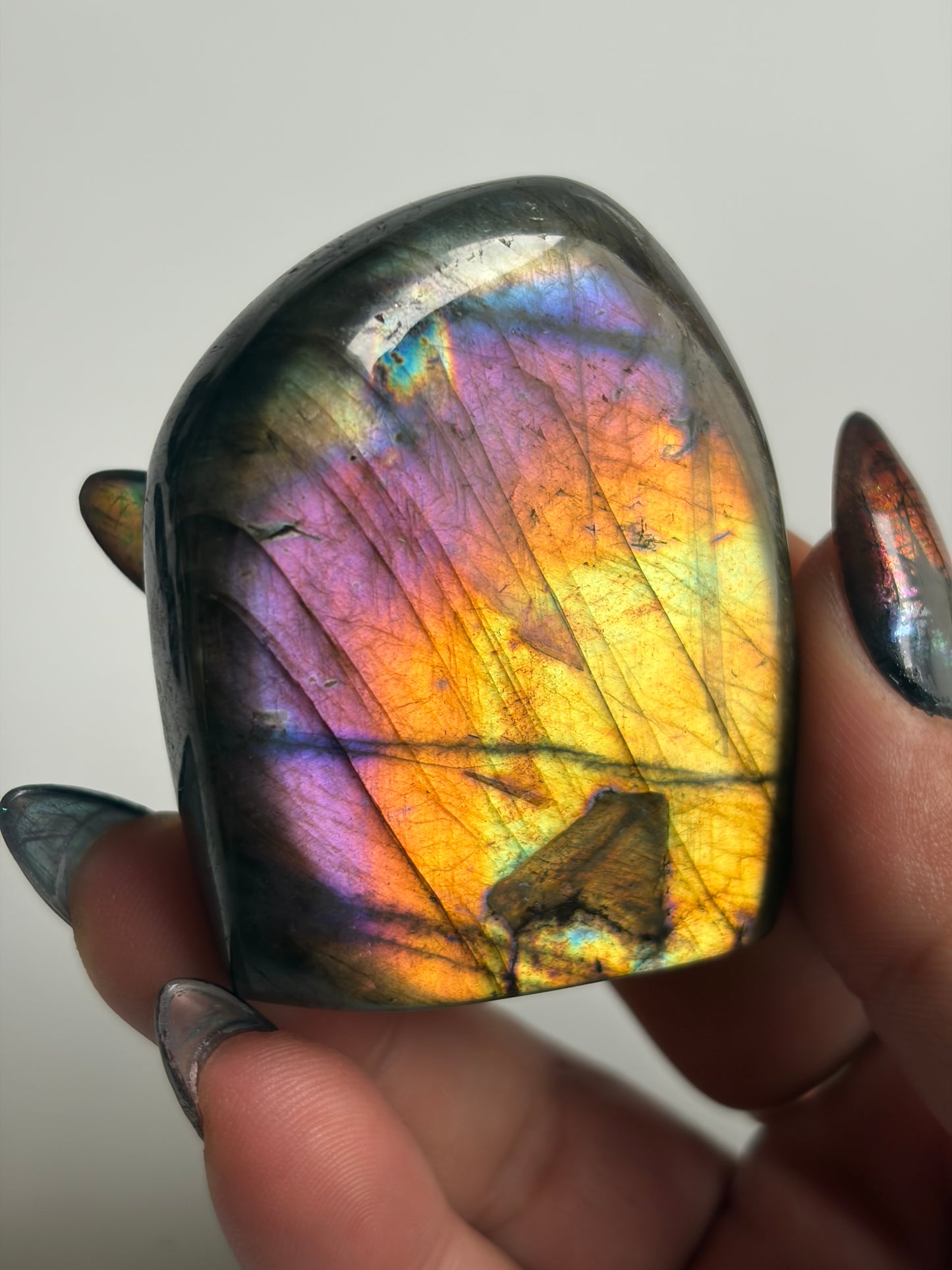 Labradorite Freeform w/ Rainbow Flash from Madagascar