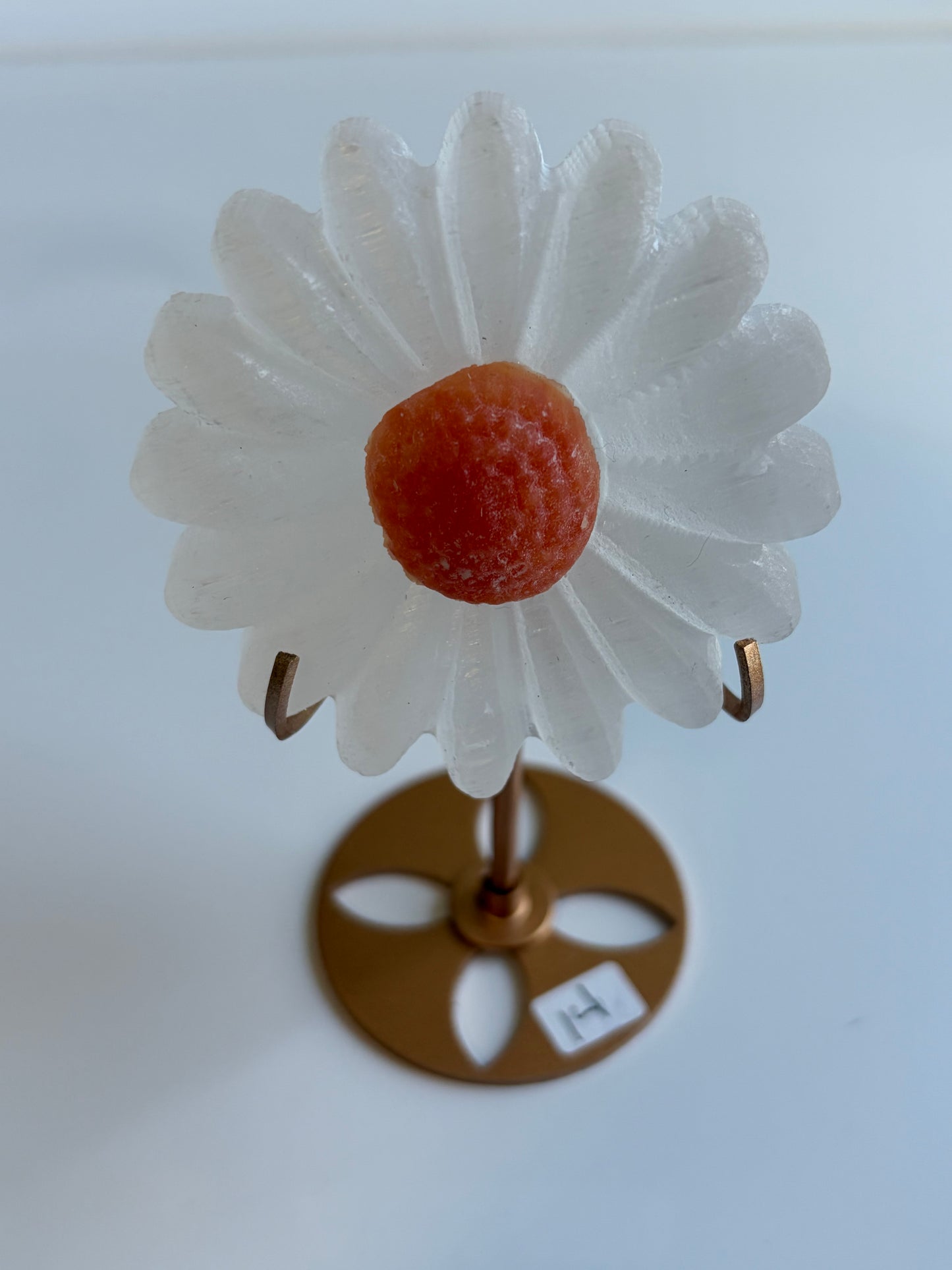 Selenite Daisy w/ Orange Calcite