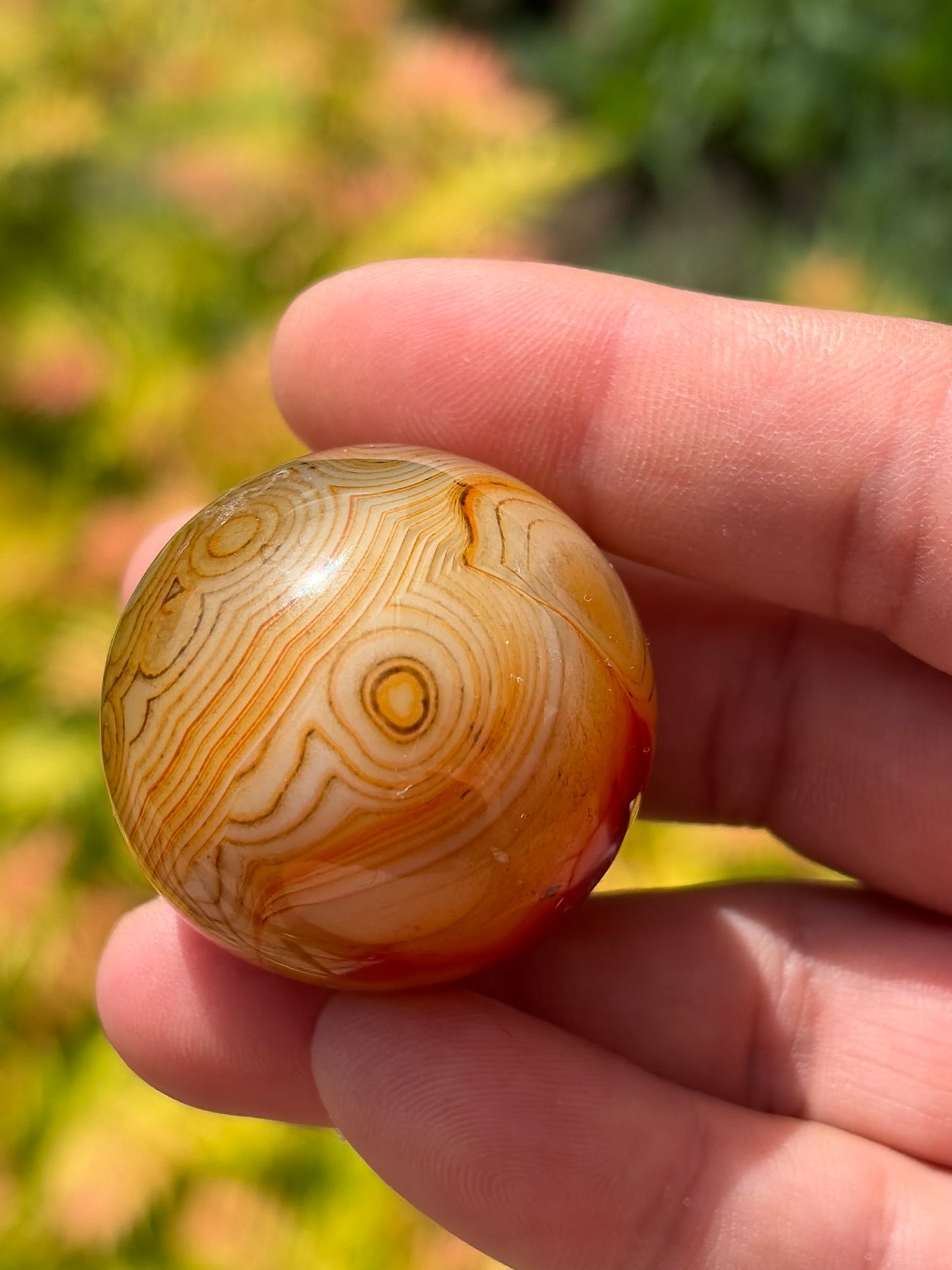 Sardonyx Sphere B