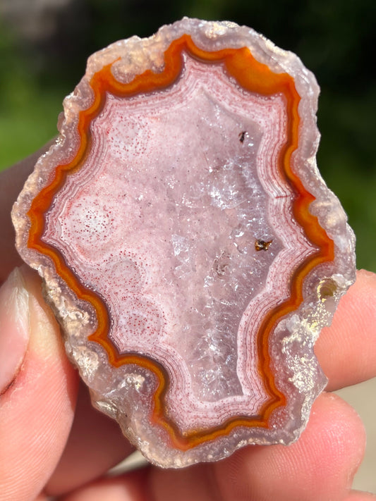 Pink and Red Laguna Agate w/ Quartz Middle