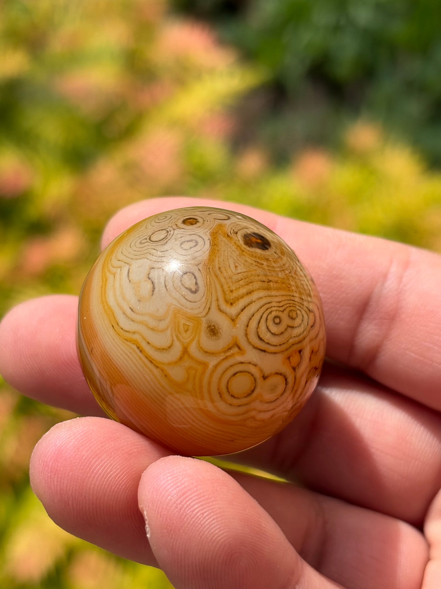 Sardonyx Sphere B