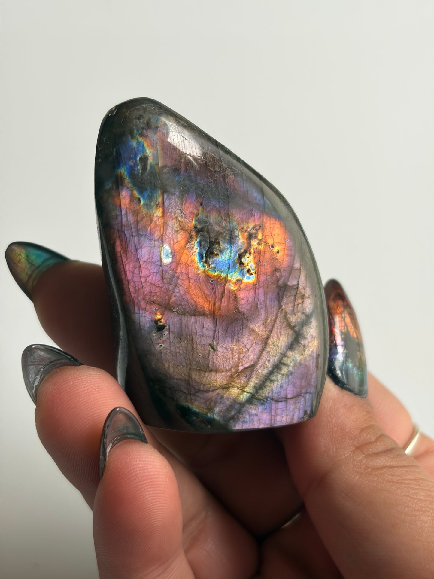 Labradorite Freeform w/ Mixed Flash from Madagascar