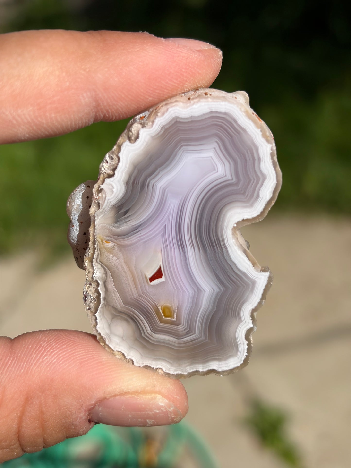 “Butterfly Wing” Laguna Agate