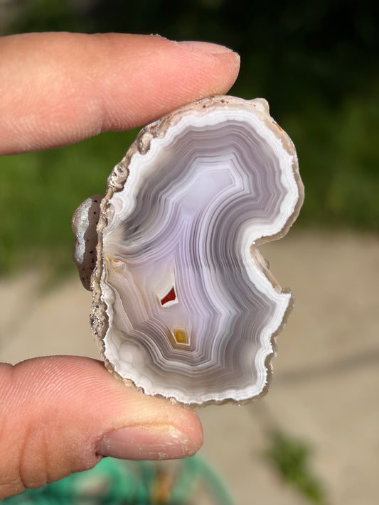 “Butterfly Wing” Laguna Agate