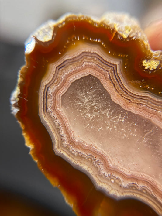 Red and Pink Laguna Agate