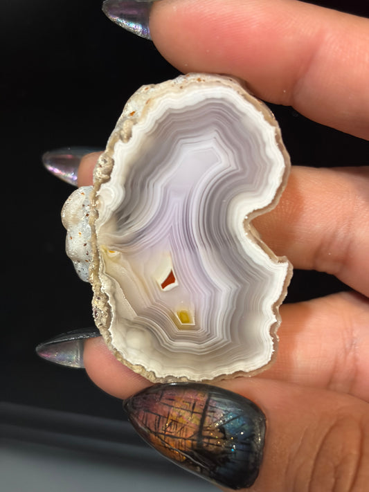 “Butterfly Wing” Laguna Agate