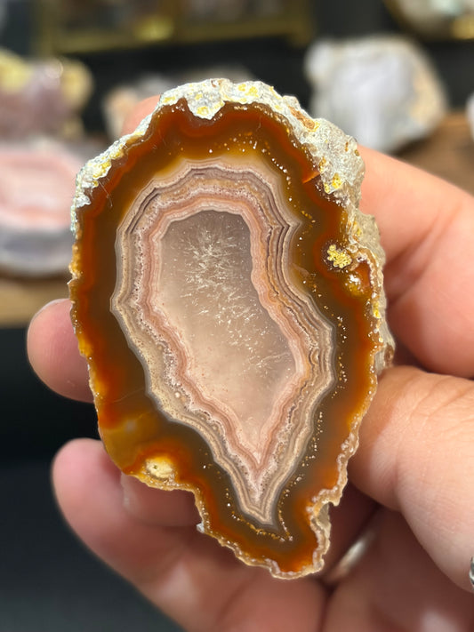 Red and Pink Laguna Agate