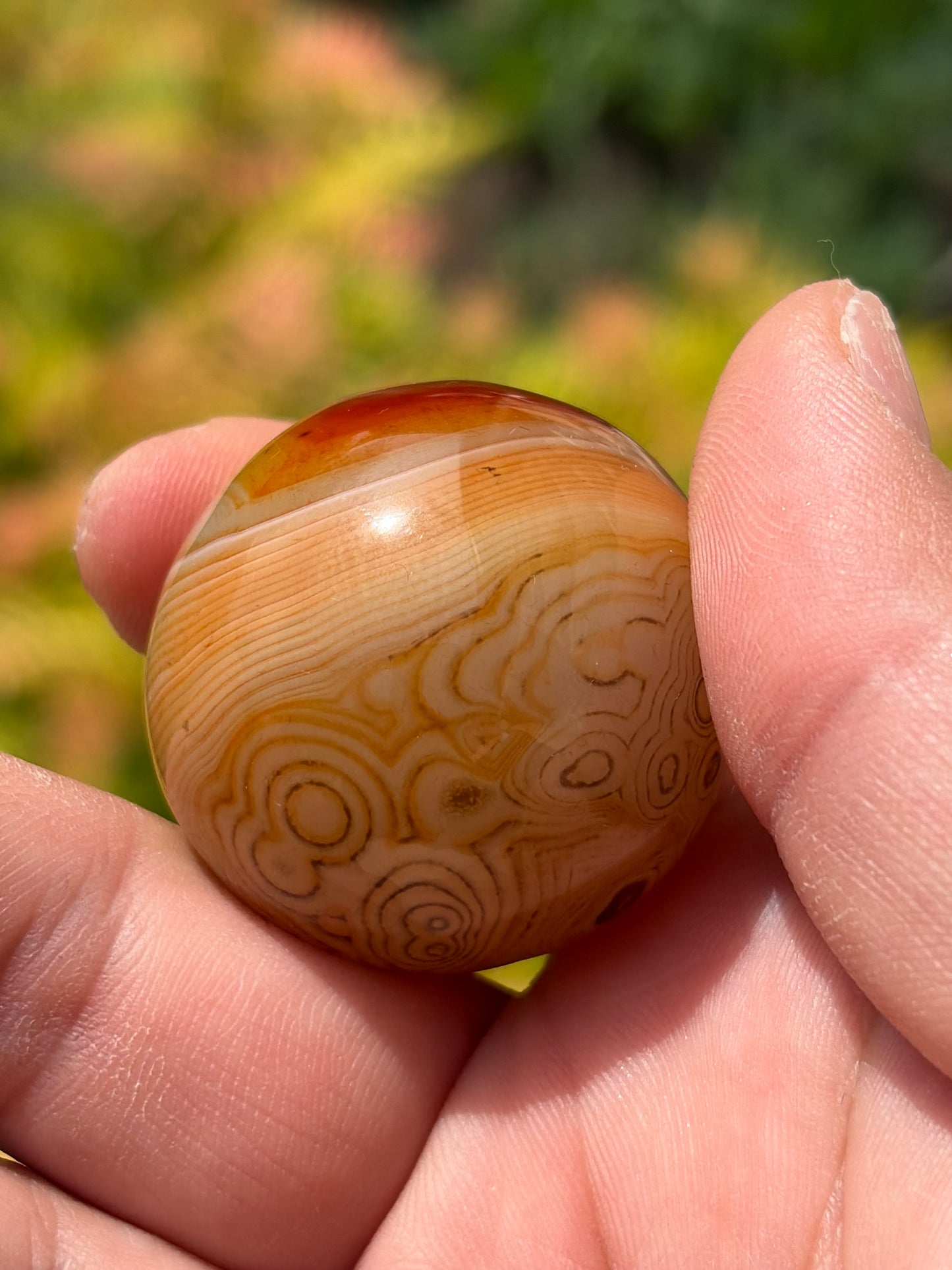 Sardonyx Sphere B