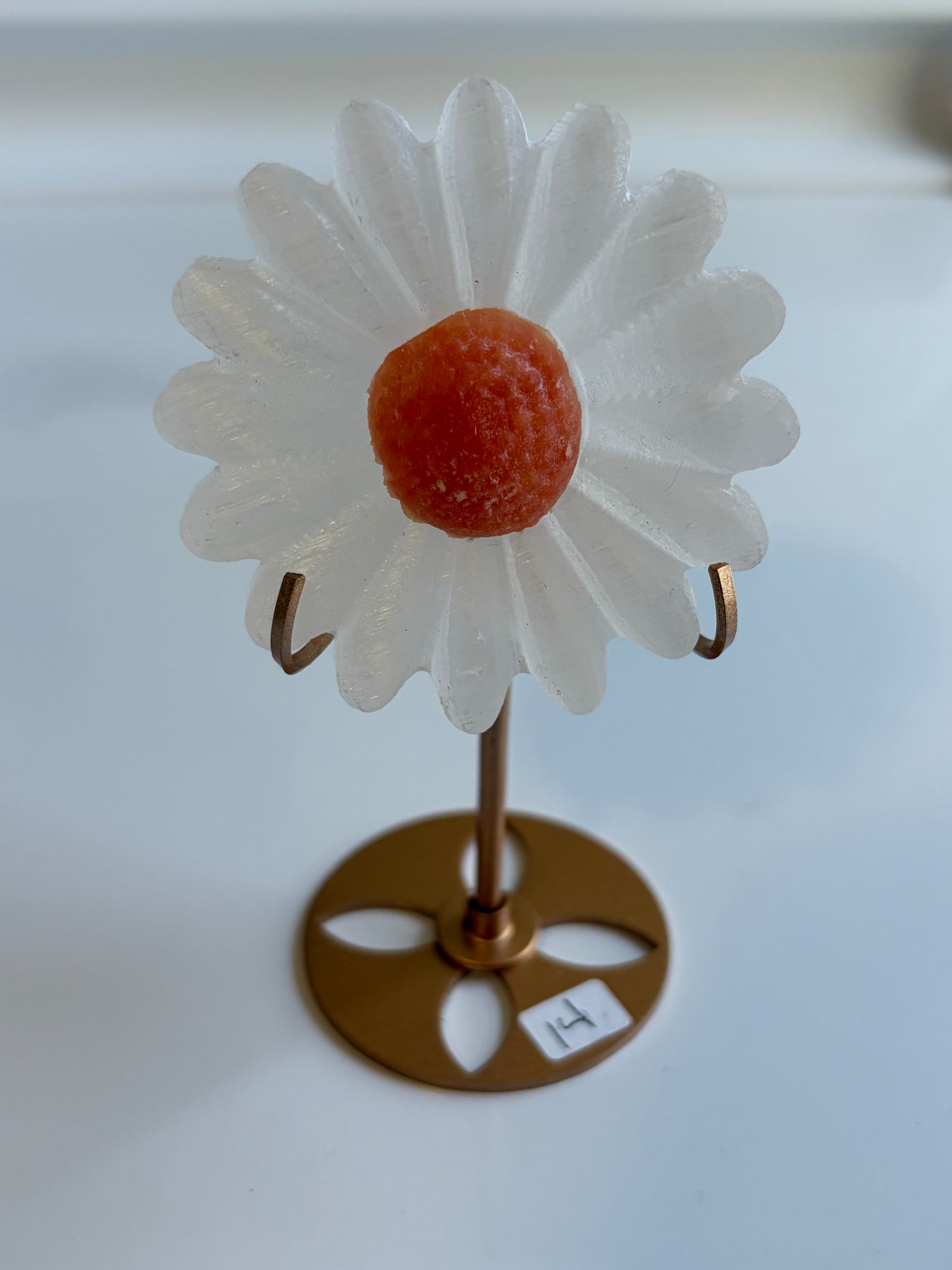 Selenite Daisy w/ Orange Calcite