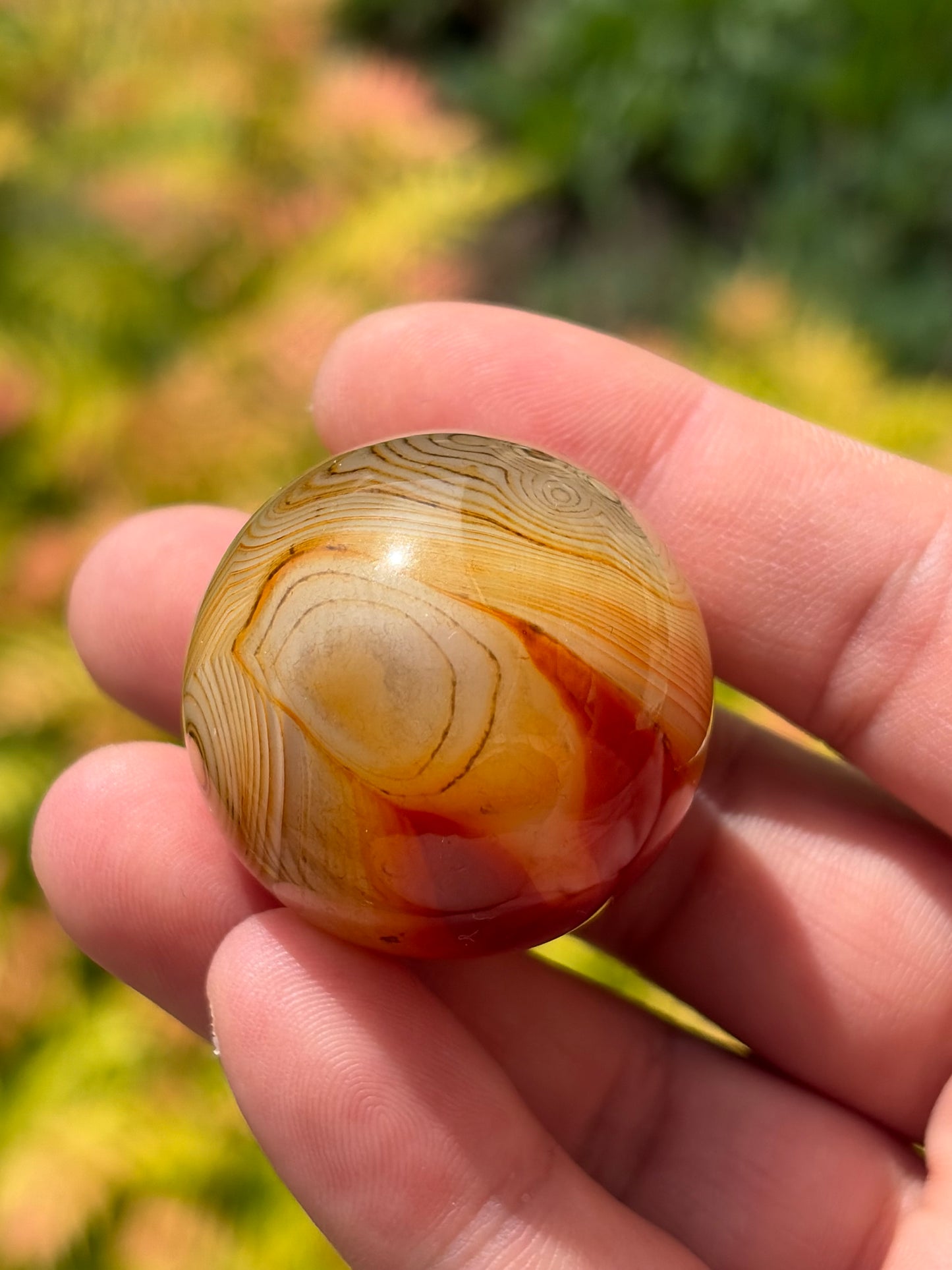 Sardonyx Sphere B