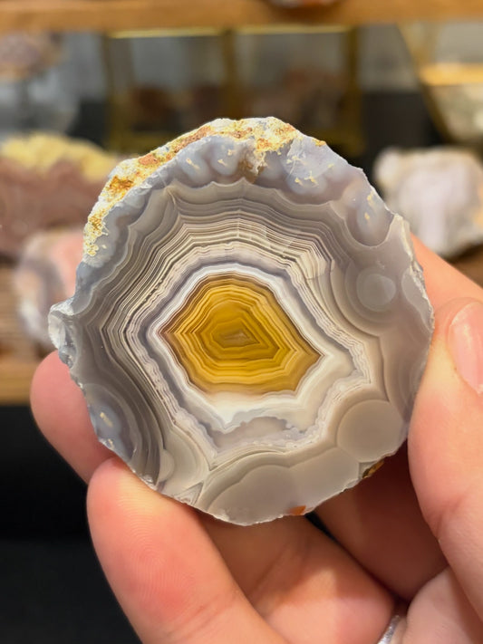Yellow and Gray Laguna Agate