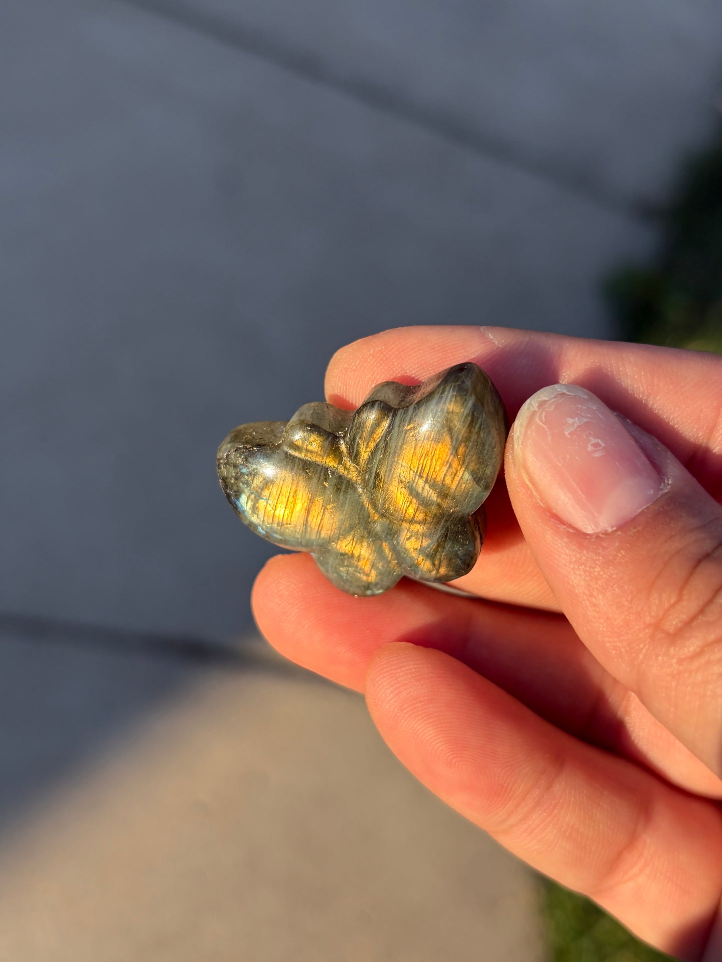 Labradorite Butterfly Carvings - 2D