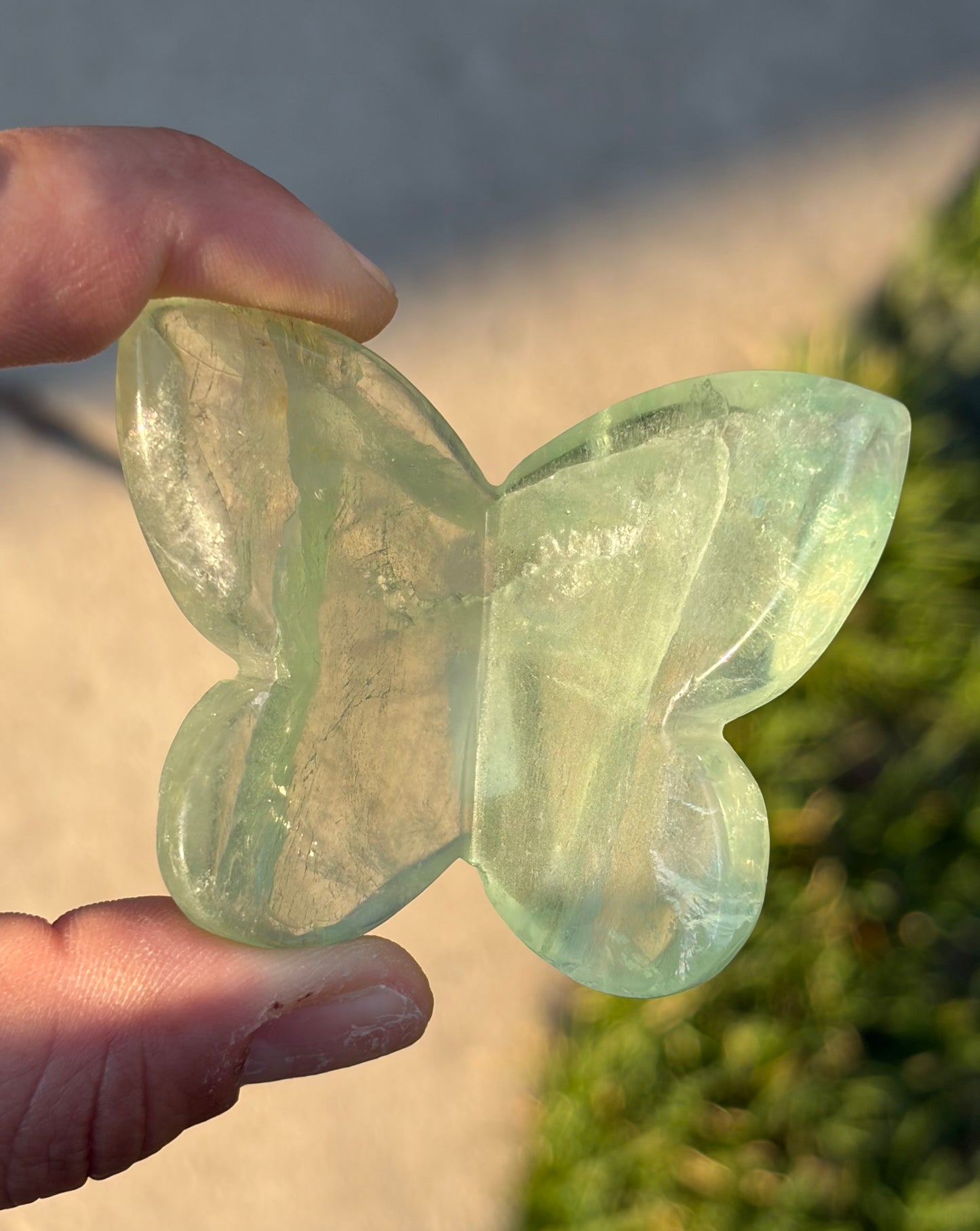 Fluorite 3D Butterfly Carvings - Choose Your Own