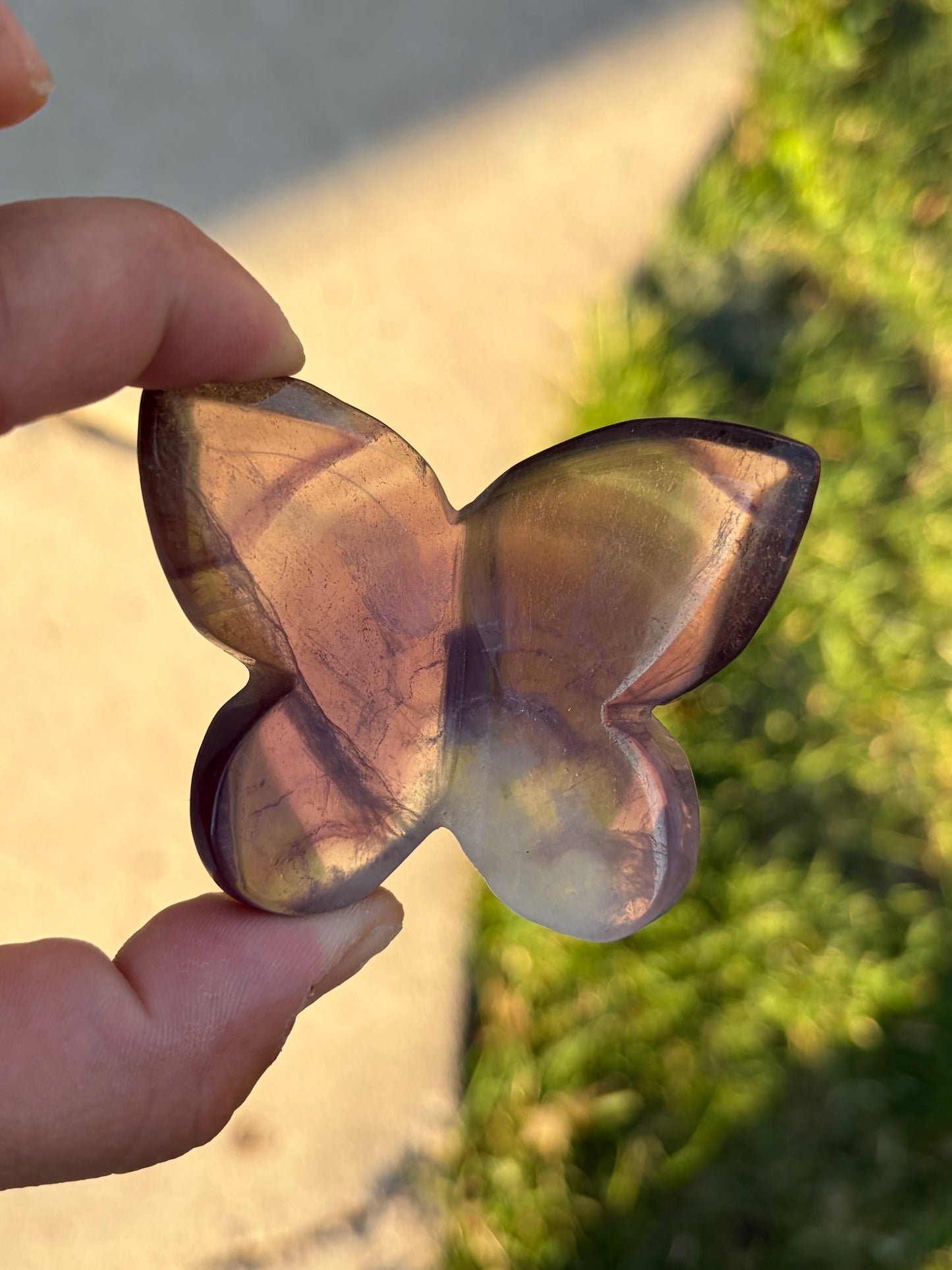 Fluorite 3D Butterfly Carvings - Choose Your Own