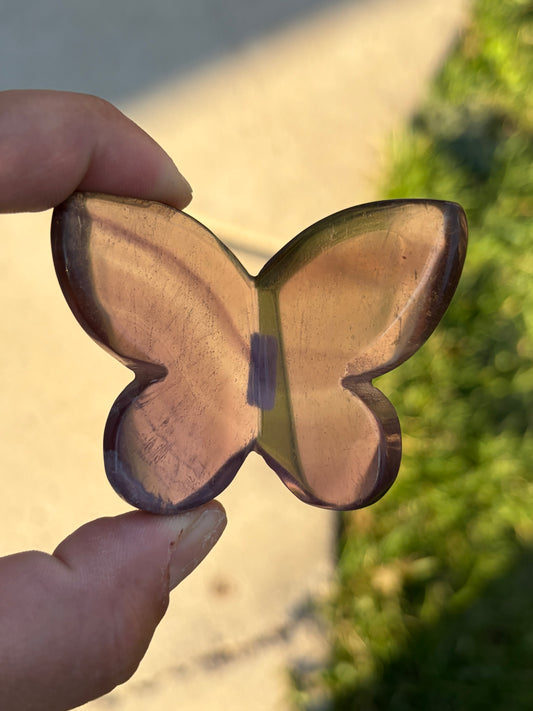 Fluorite 3D Butterfly Carvings - Choose Your Own