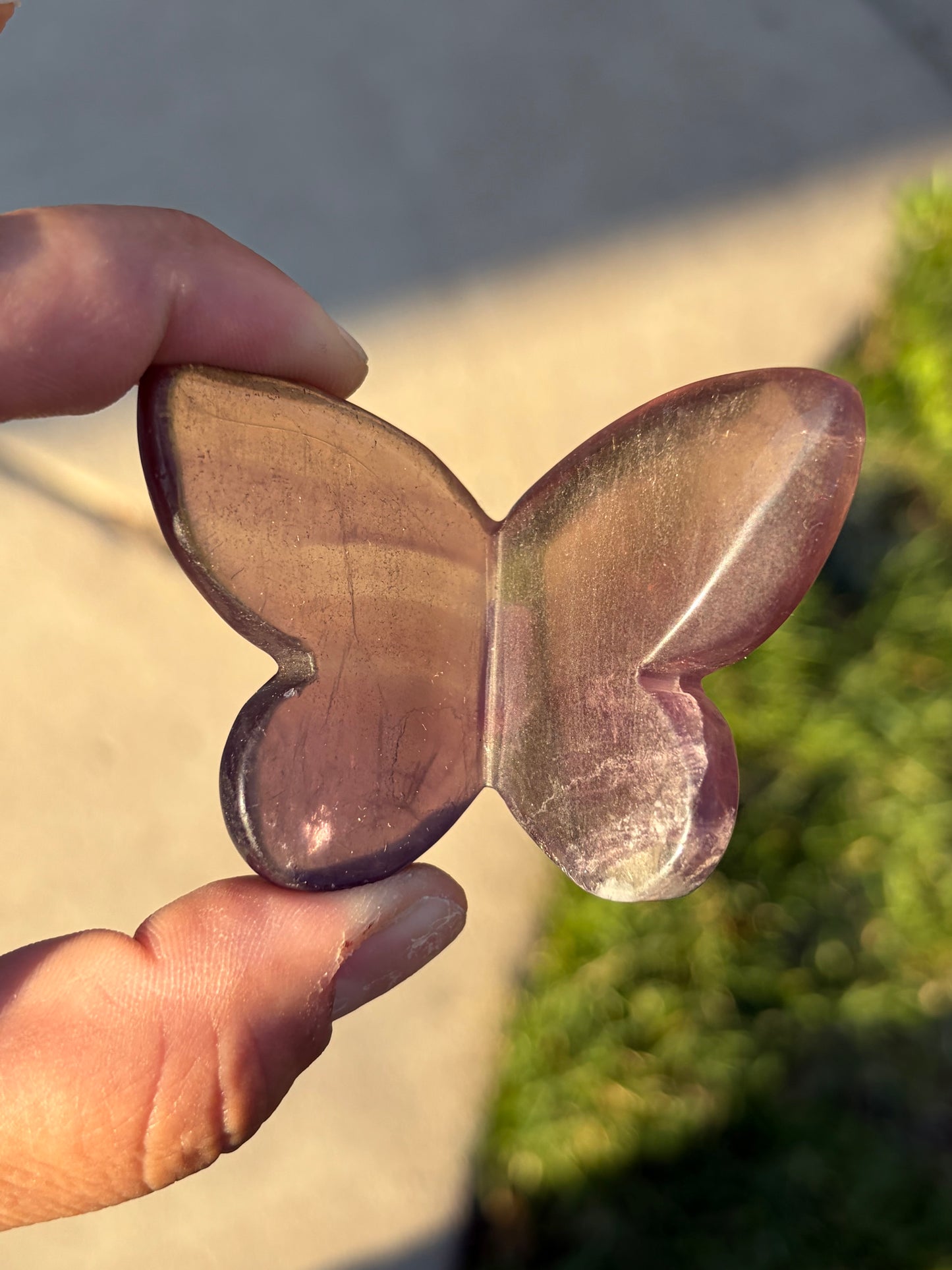 Fluorite 3D Butterfly Carvings - Choose Your Own