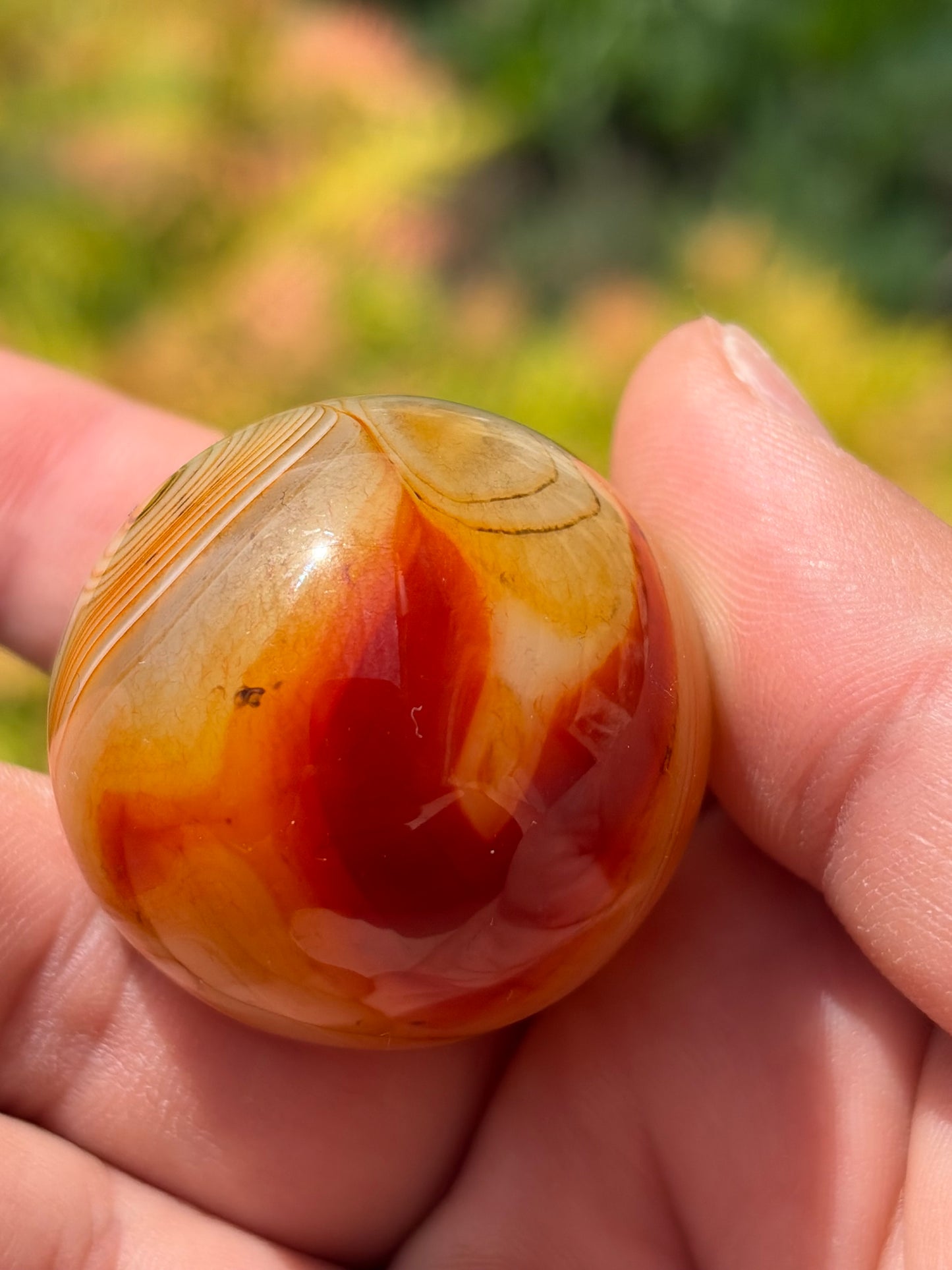 Sardonyx Sphere B