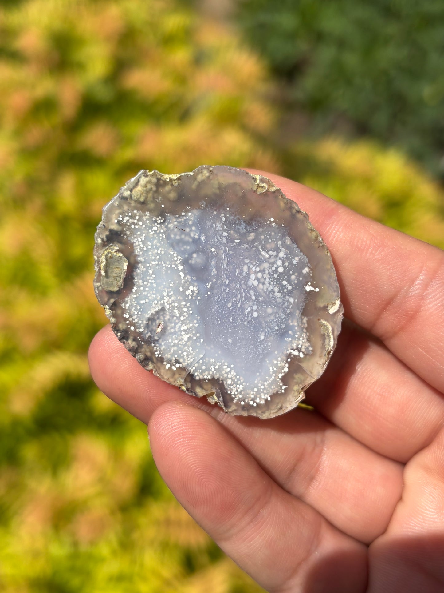 Starry Night Agate from Arizona