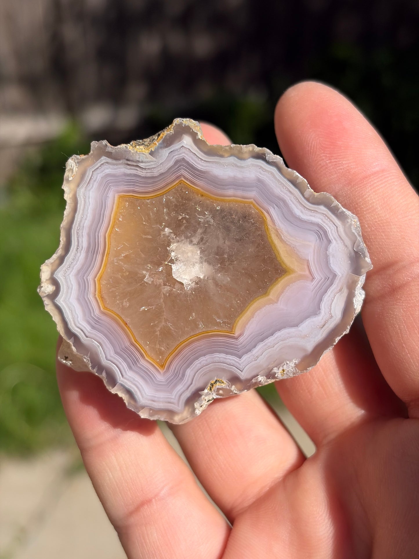 Purple and Yellow Laguna Agate w/ Quartz Middle
