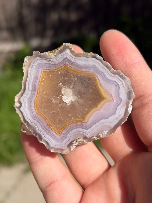 Purple and Yellow Laguna Agate w/ Quartz Middle