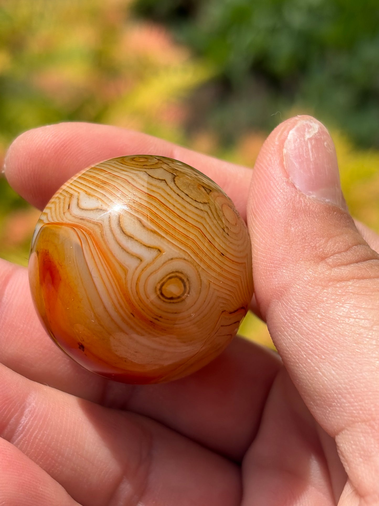 Sardonyx Sphere B