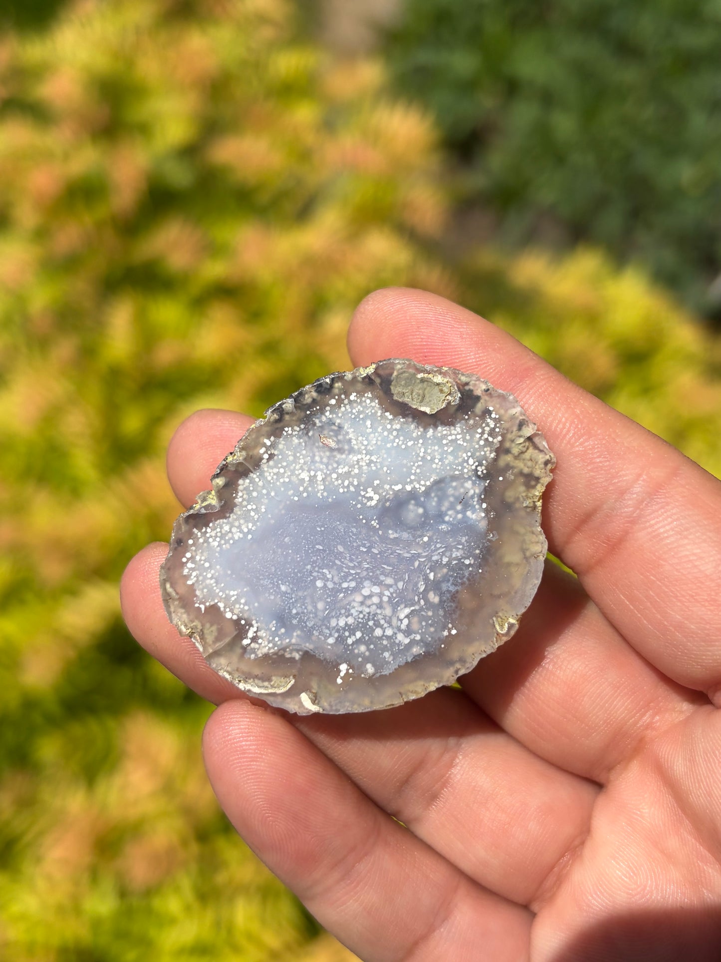 Starry Night Agate from Arizona