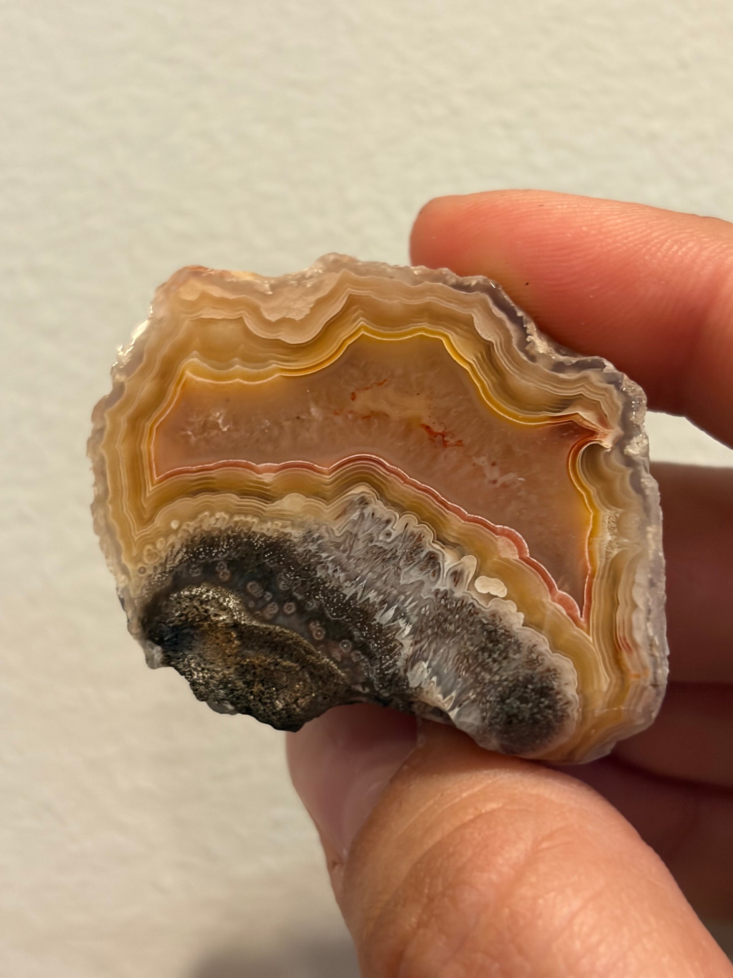 Yellow and Red Laguna Agate